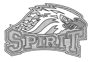SPIRIT logo