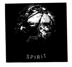 SPIRIT logo