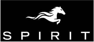 SPIRIT logo