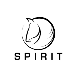SPIRIT logo
