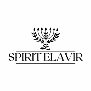 SPIRIT ELAVIR logo