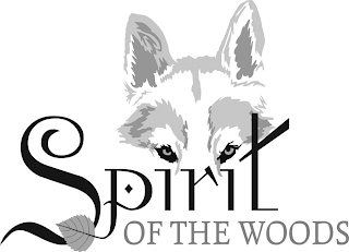 SPIRIT OF THE WOODS logo