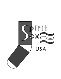 SPIRIT SOX USA logo