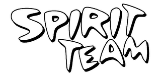 SPIRIT TEAM logo