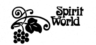 SPIRIT WORLD logo