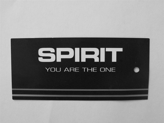 SPIRIT YOU ARE THE ONE logo