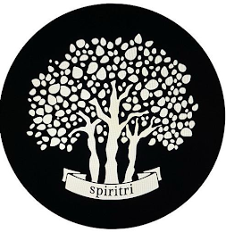 SPIRITRI logo