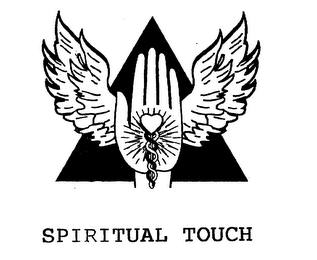 SPIRITUAL TOUCH logo