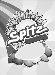 SPITZ logo