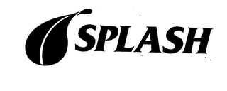 SPLASH logo