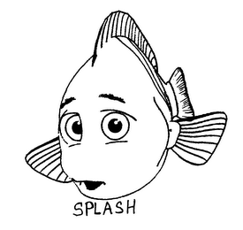 SPLASH logo