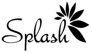 SPLASH logo