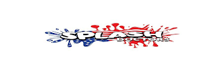 SPLASH DOCTORS logo