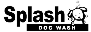 SPLASH DOG WASH logo