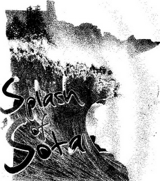 SPLASH OF 'SOTA logo