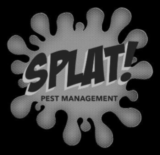 SPLAT! PEST MANAGEMENT logo