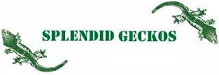 SPLENDID GECKOS logo