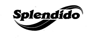 SPLENDIDO logo