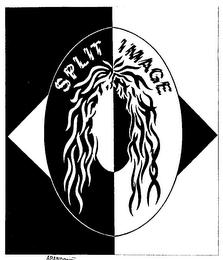 SPLIT IMAGE logo