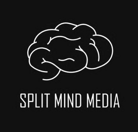 SPLIT MIND MEDIA logo
