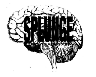 SPLUNGE COMMUNICATIONS INC. logo