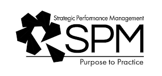 SPM STRATEGIC PERFORMANCE MANAGEMENT PURPOSE TO PRACTICE logo