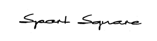 SPORT SQUARE logo