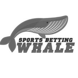SPORTS BETTING WHALE logo