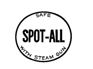 SPOT-ALL SAFE WITH STEAM GUN logo