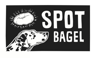 SPOT BAGEL logo