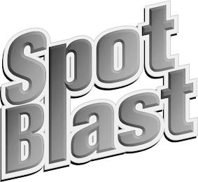 SPOT BLAST logo