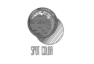SPOT COLOR logo