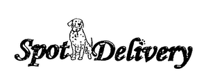 SPOT DELIVERY logo