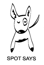 SPOT SAYS logo