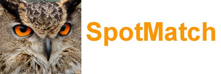 SPOTMATCH logo