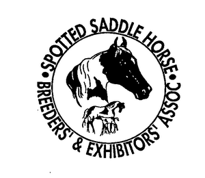 SPOTTED SADDLE HORSE BREEDERS' & EXHIBITORS' ASSOC logo
