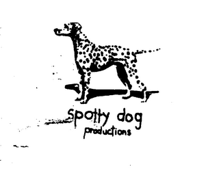SPOTTY DOG PRODUCTIONS logo