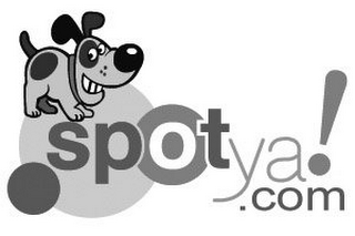 SPOTYA.COM! logo