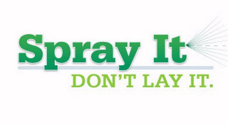 SPRAY IT DON'T LAY IT logo
