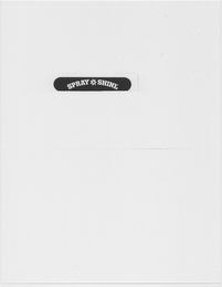 SPRAY N SHINE logo