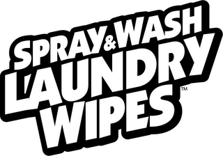 SPRAY & WASH LAUNDRY WIPES logo