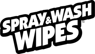 SPRAY & WASH WIPES logo