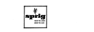 SPRIG logo
