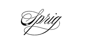 SPRIG logo