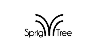SPRIG TREE logo