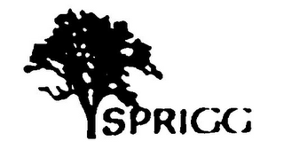SPRIGG logo
