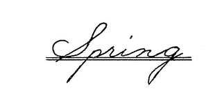 SPRING logo