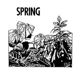 SPRING logo