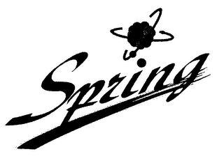 SPRING logo