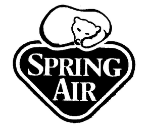 SPRING AIR logo